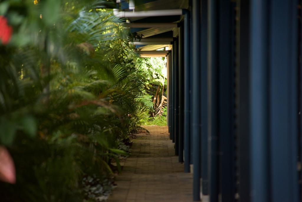 Lazy Lizard Motor Inn Port Douglas Buitenkant foto